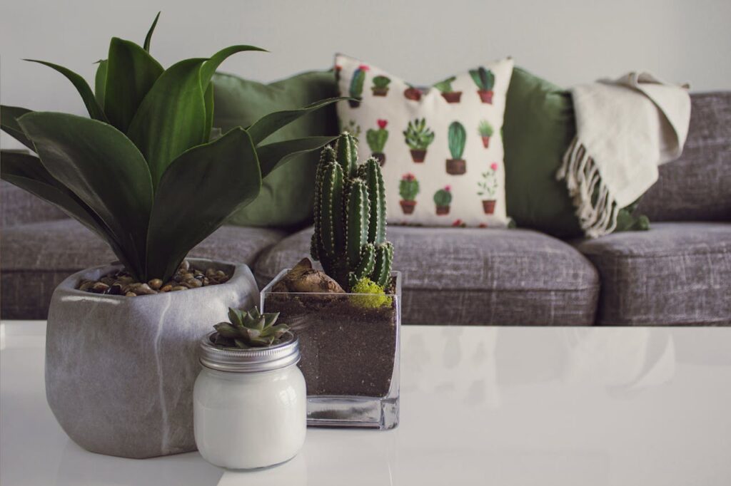 how to decorate with plants at home