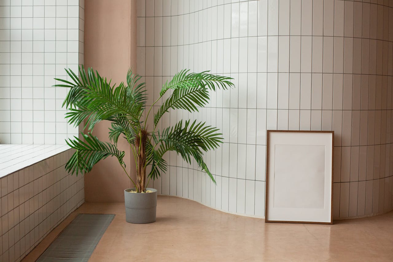 how to decorate empty corners with plants