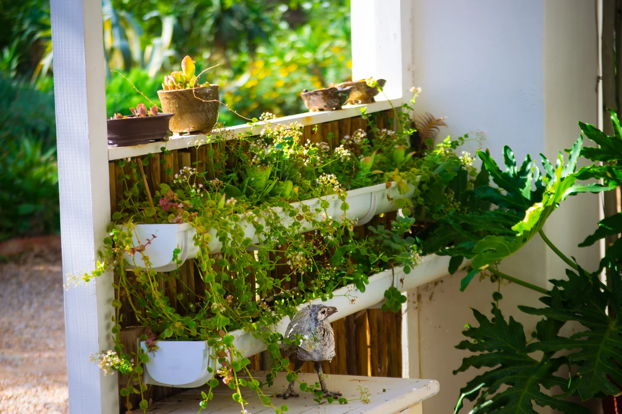 How to Build a DIY Vertical Garden Wall Indoors