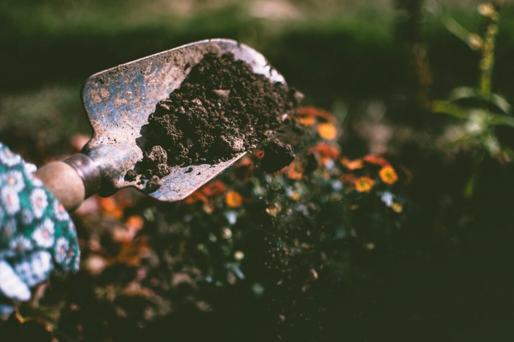outdoor garden soil and fertilizing
