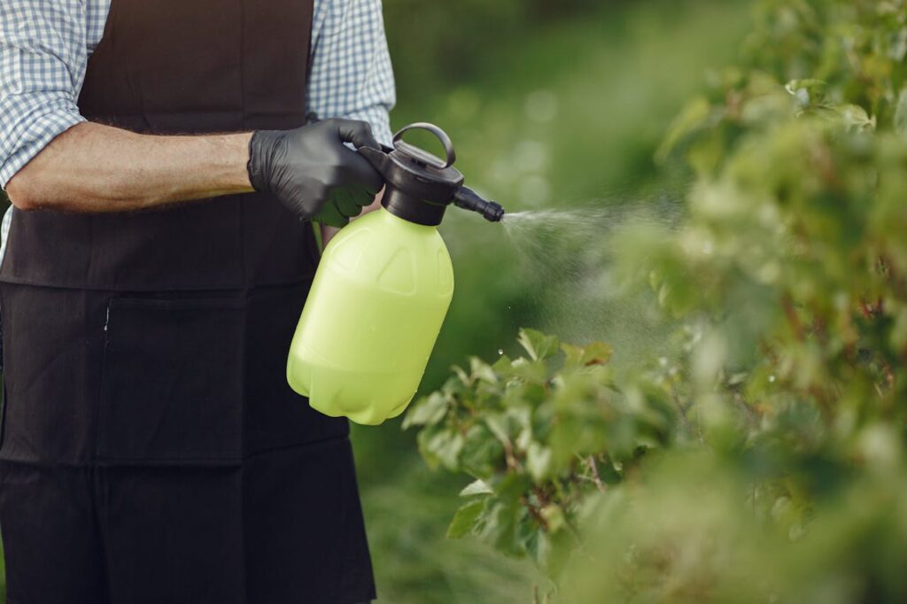 garden pest control