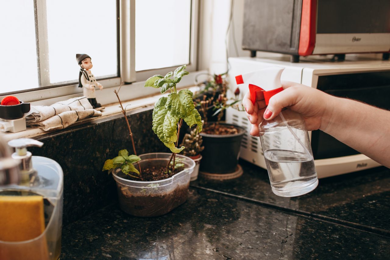 indoor herb garden kitchen