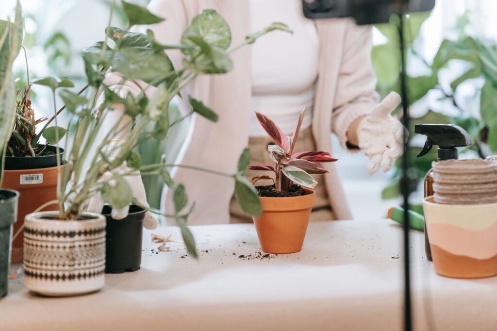best grow lights for indoor plants