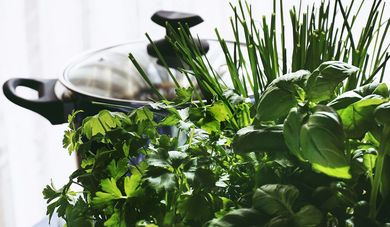recipes using fresh herbs from garden