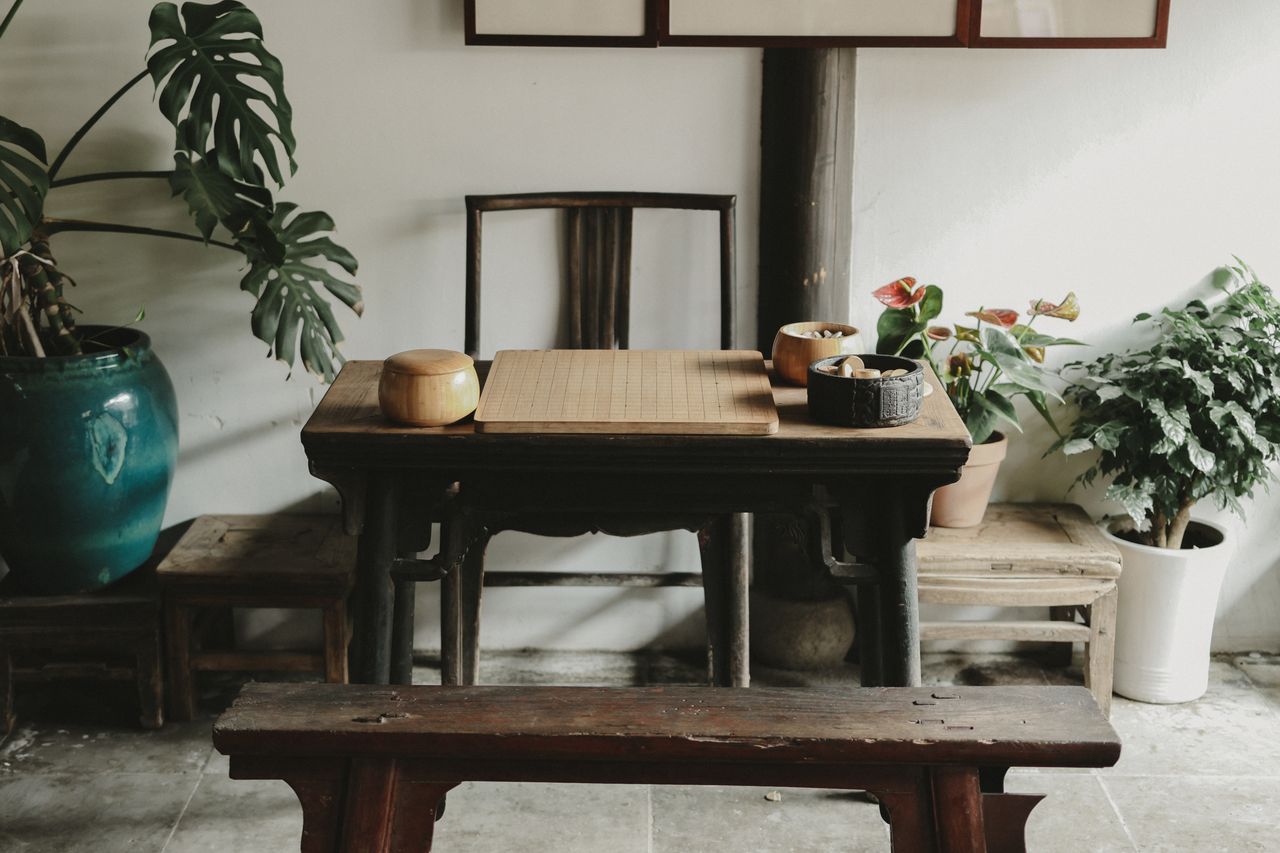 Indoor Plants for Home Décor