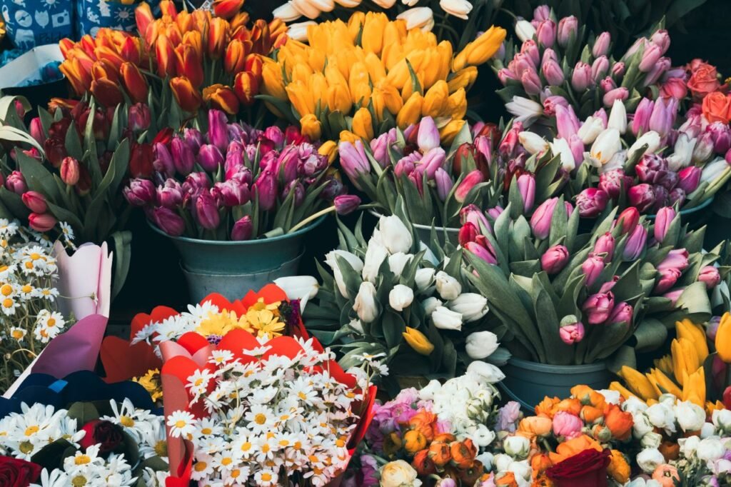 gifts for plant lovers