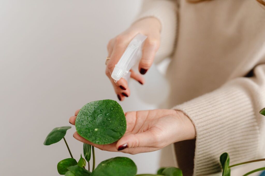how to get rid of thrips on houseplants