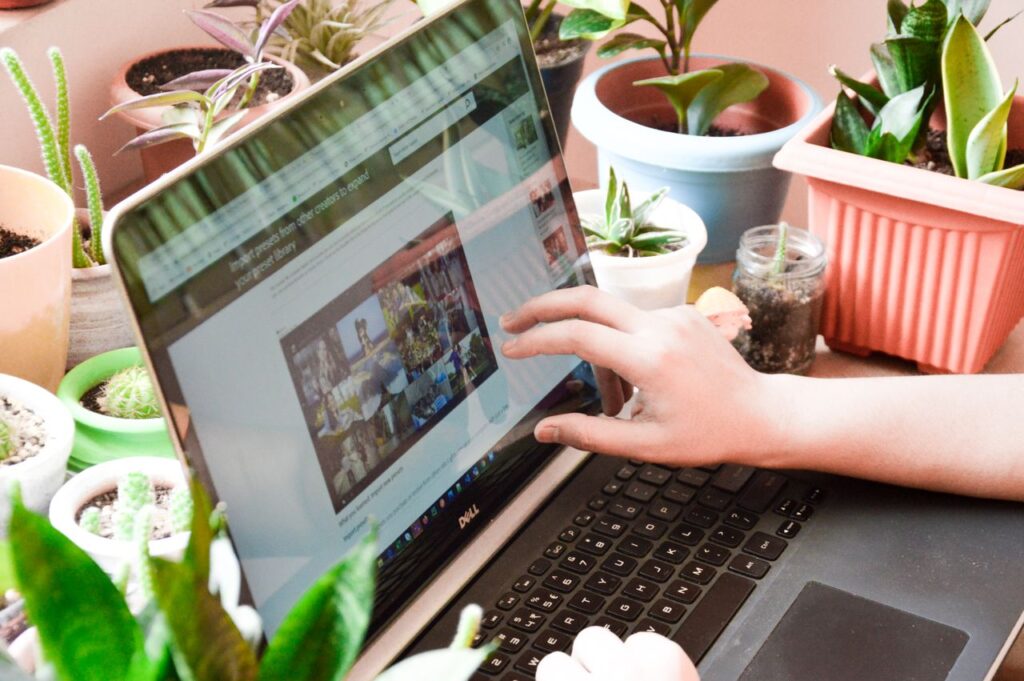 best places to Buy Plants Online