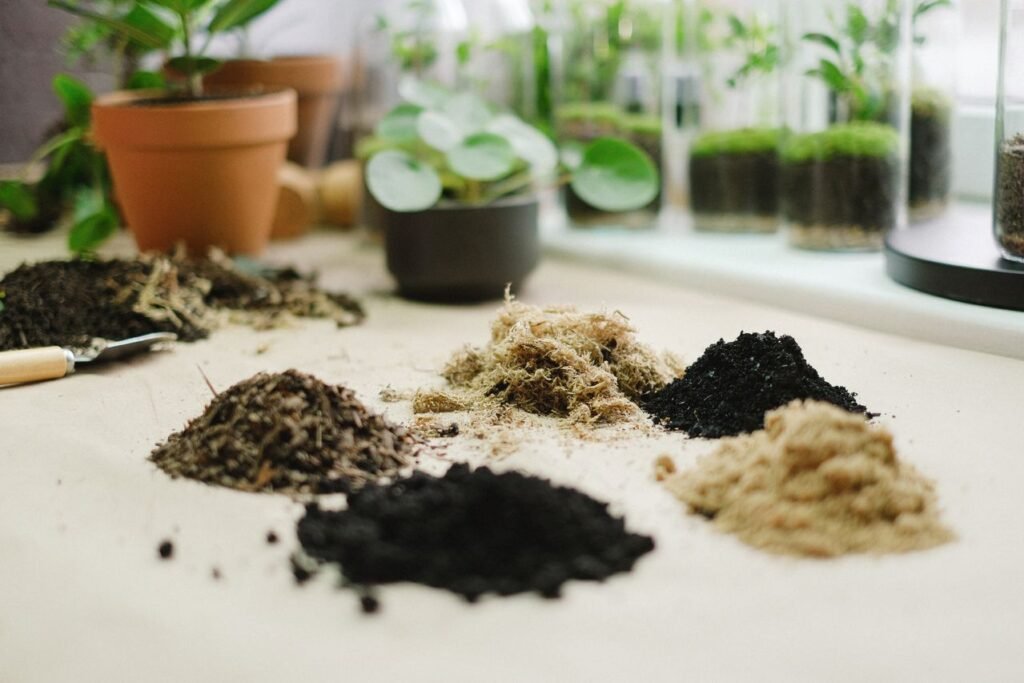 Best Soil for Indoor Plants